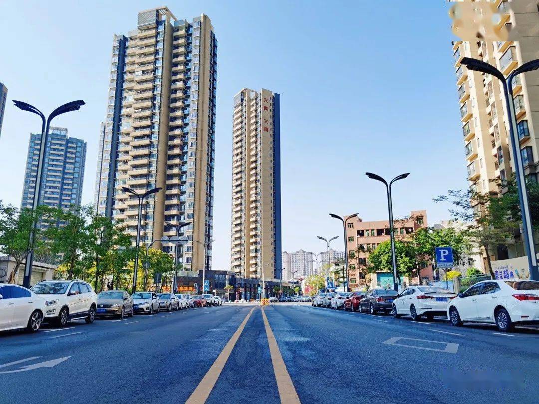 大朗镇全年获三项"最美", 九个村(社区)评为"示