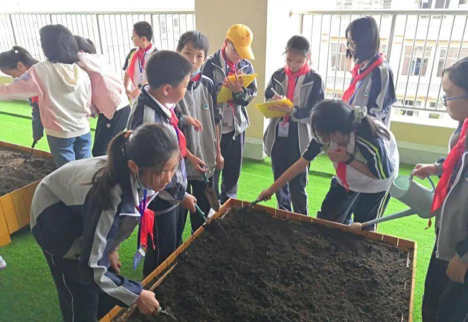 家门口的好初中71 | 崇明区裕安中学:"强校"成就每一位教师,润泽每