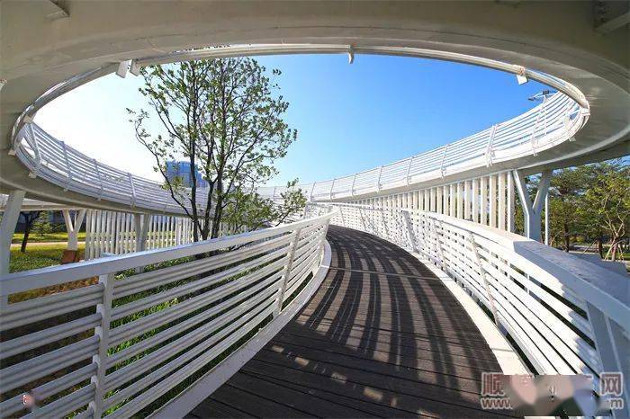 三洪奇大桥堤段两岸景观提升工程更是成效明显,沿岸的生态公园建设