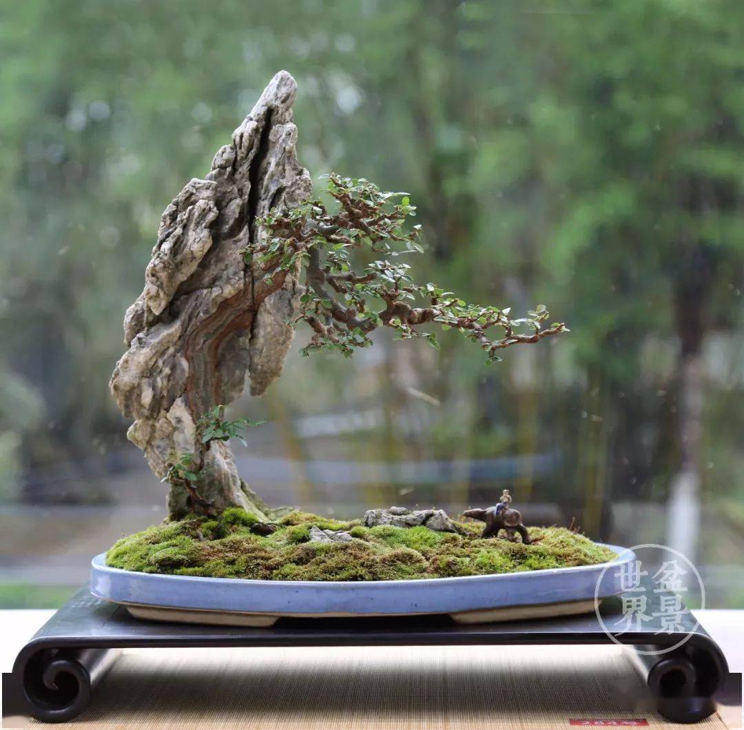 【砚外之艺】 云头雨脚美人腰—盆景欣赏_作品_黄就成_伍宜孙