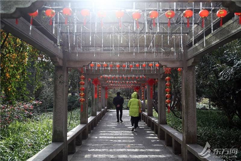 赏灯观景贺新春 去501岁古猗园感受传统年味_非遗_主题_园林