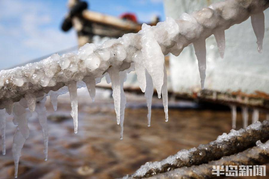 零下11度,礁石"穿"冰甲_缆绳_冰挂_海滩