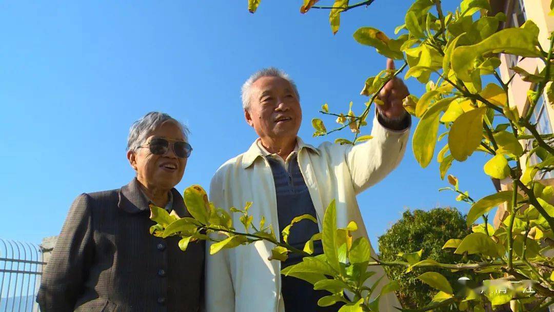 尽诉元江梦!一封80多岁老人的来信让人动容_发展_建设_养生