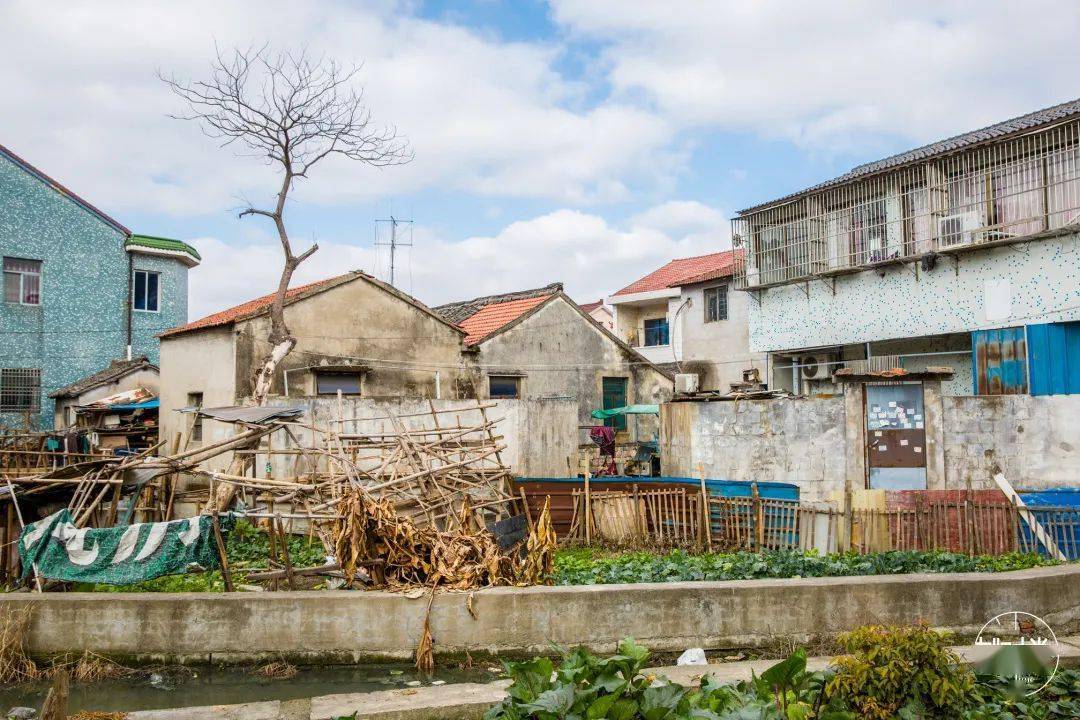 余姚又一个城中村要消失了!_地方_城市_生活