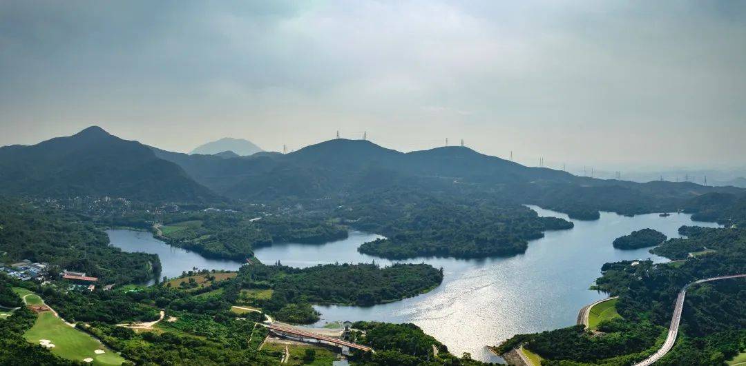 步履不停,前"兔"似锦丨春节去打卡坪山远足径郊野径82.