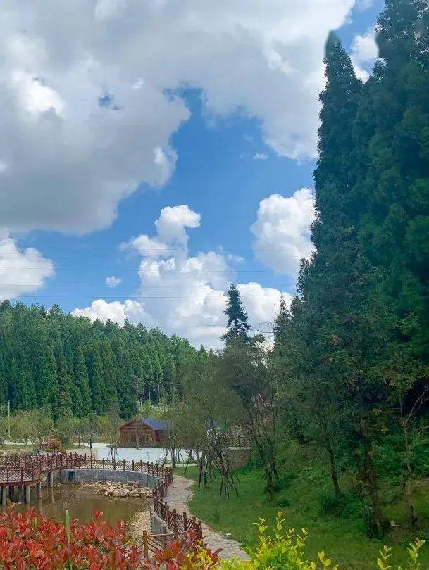 安顺这个可赏景观鸟的好去处不容错过~_九龙山_公园_文化村