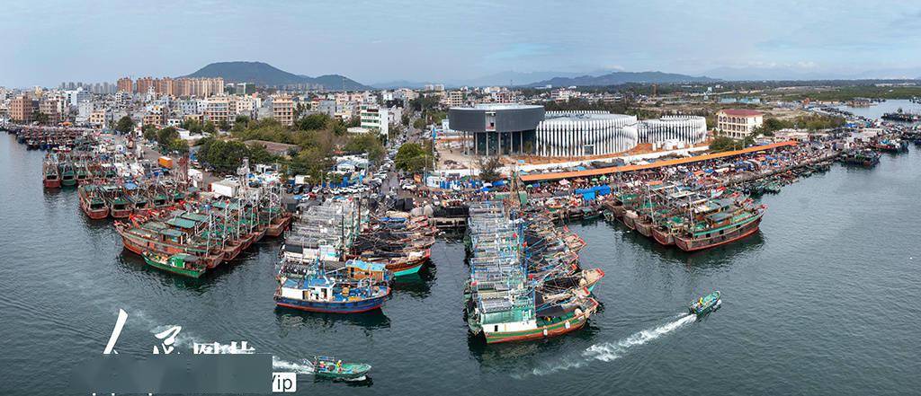 海南陵水:繁忙的新村漁港_海島_碼頭_景象