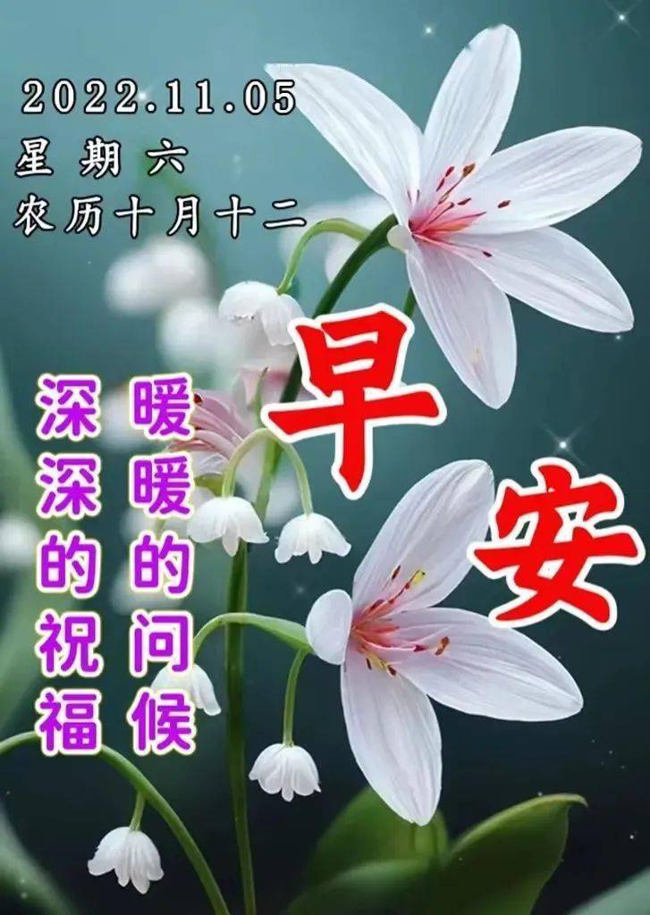 大年初九;微信早上好的问候语祝福图片