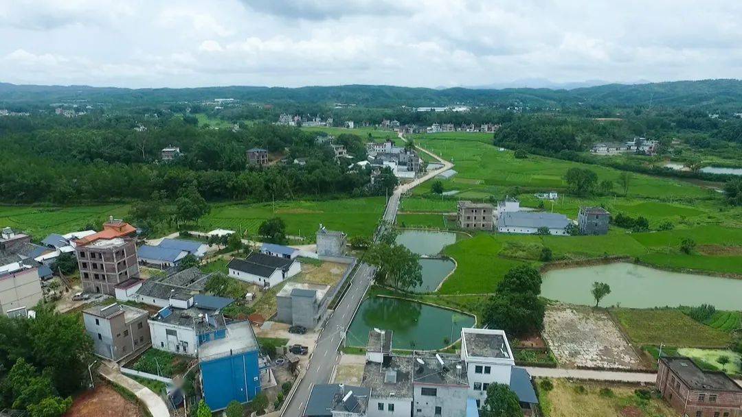 【访谈】绣缎镇委书记何小琴:下好五步"关键棋",走好乡村振兴路_发展