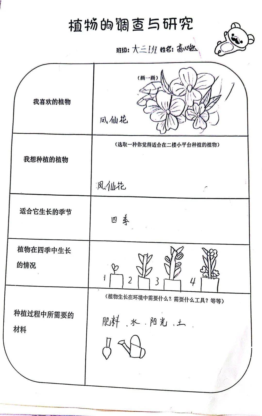 山茶花植物记录卡图片