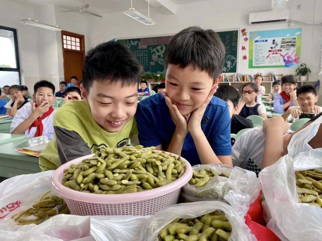 衢州实验学校图片