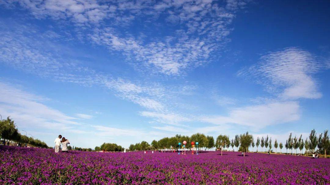 61大黑河秋韵"摄影大赛获奖作品展示(十三)_生态_建设_呼和浩特市