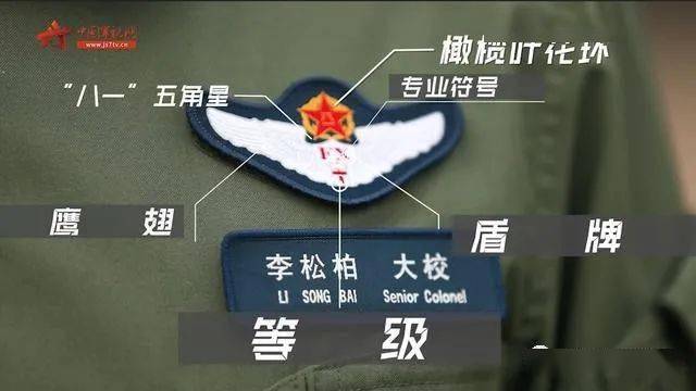 细节满满 空军飞行员胸前的标识