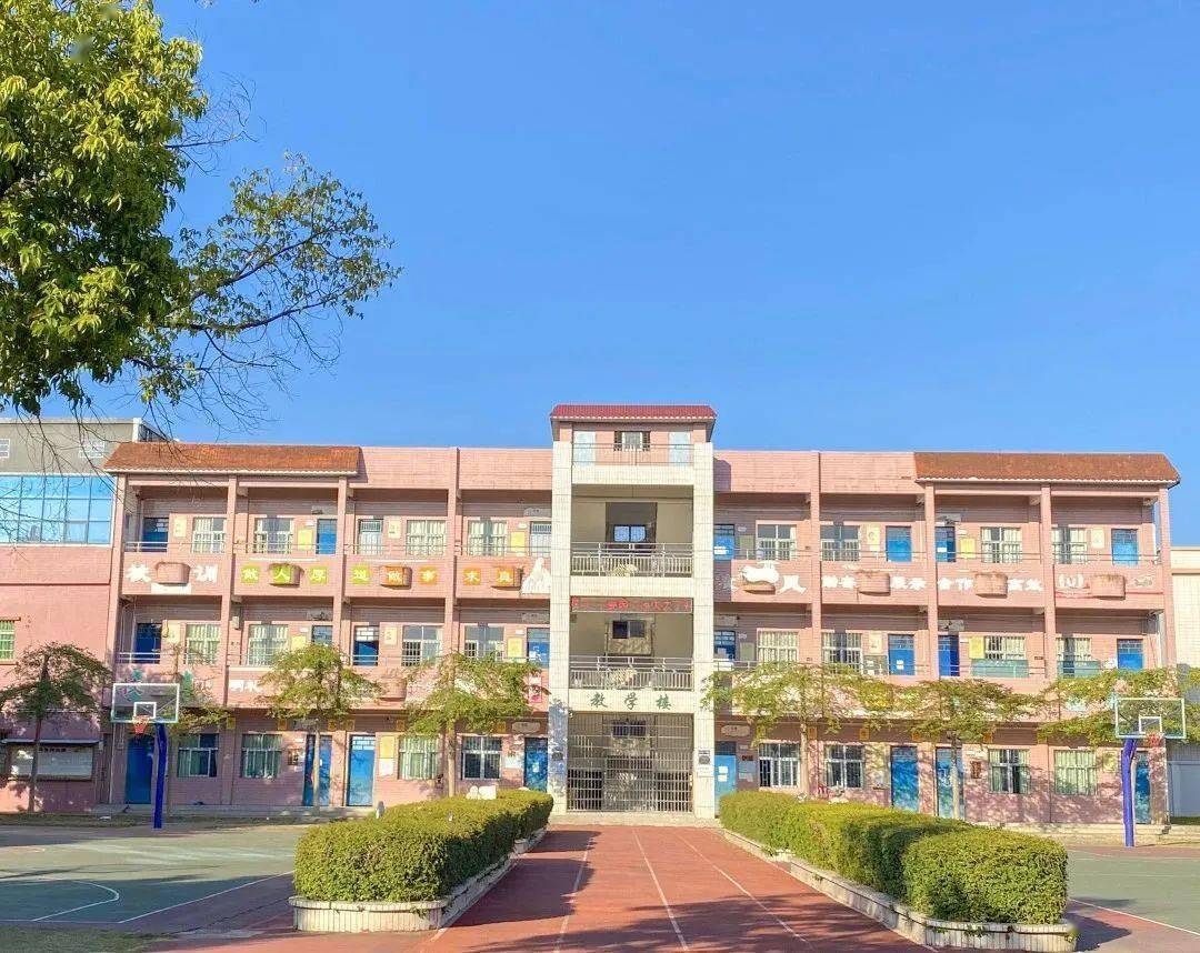 被园洲这条村的休闲生活惊艳了!大家都在享受着春意盎然的时光