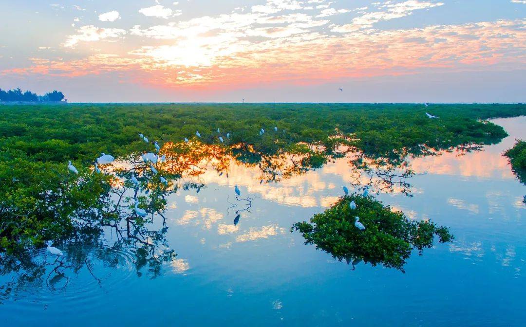 世界级！浙江再添1处国际重要湿地