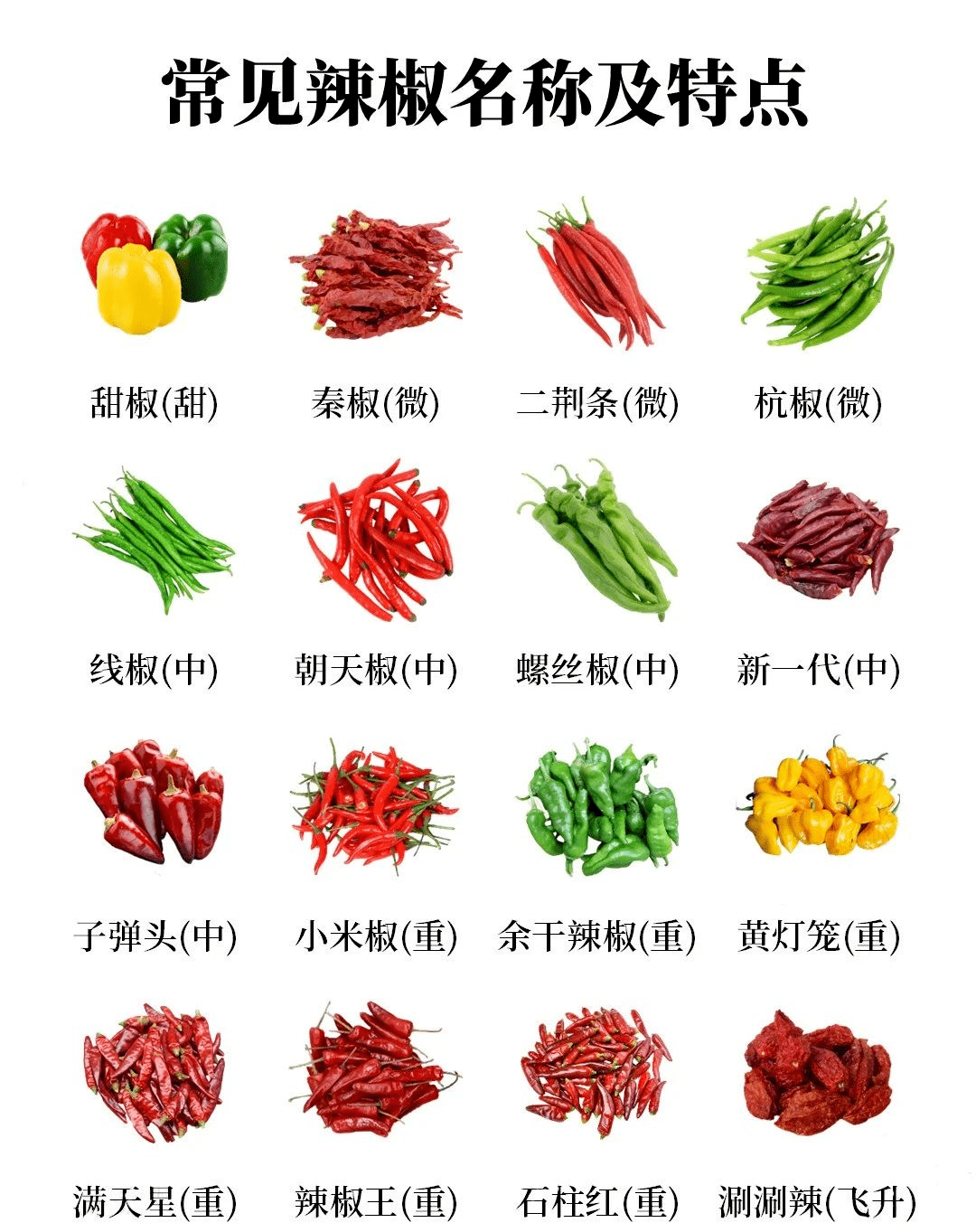 世界上有哪些常见的辣椒品种?