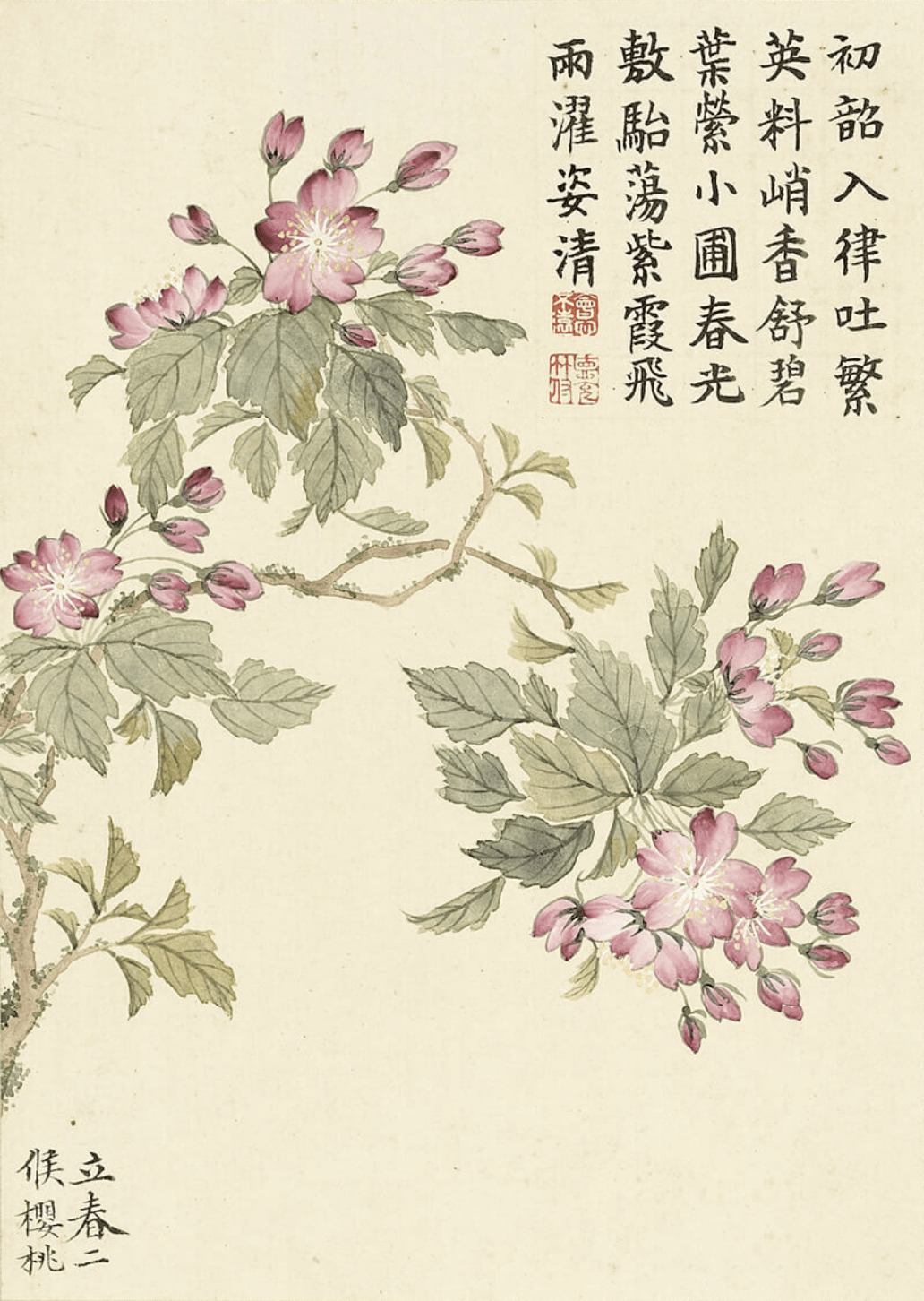 立春二候:樱桃预知天地意,逐暖露光华.冻蝶惊新梦,寒蜂出旧衙.