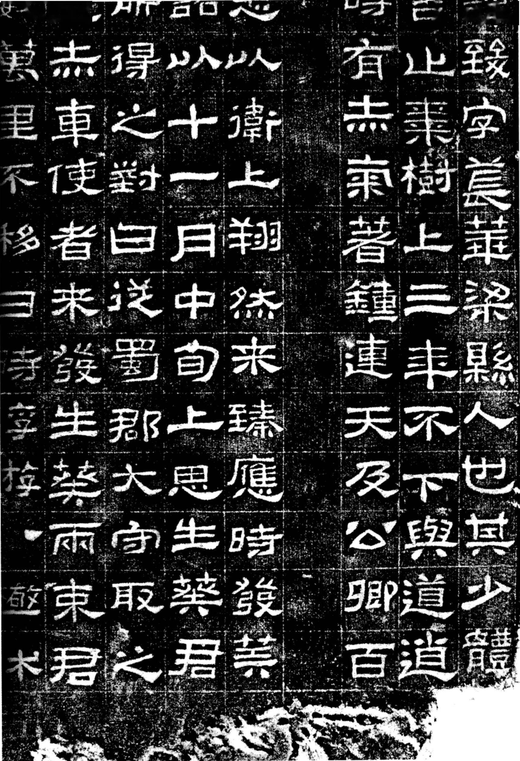 《中国书法史》:汉碑隶书的用笔,结体和章法