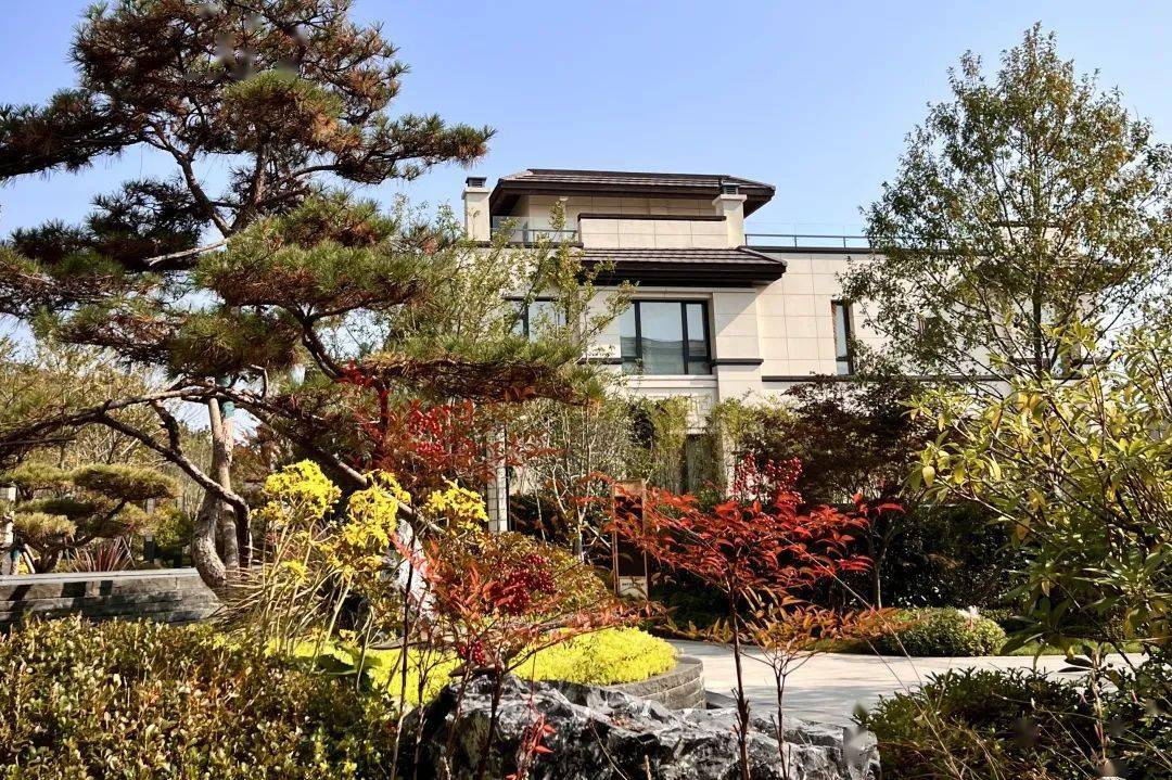 海信积米湾·天悦|终章前序 山海墅居臻稀竞藏_生活_实景_广告
