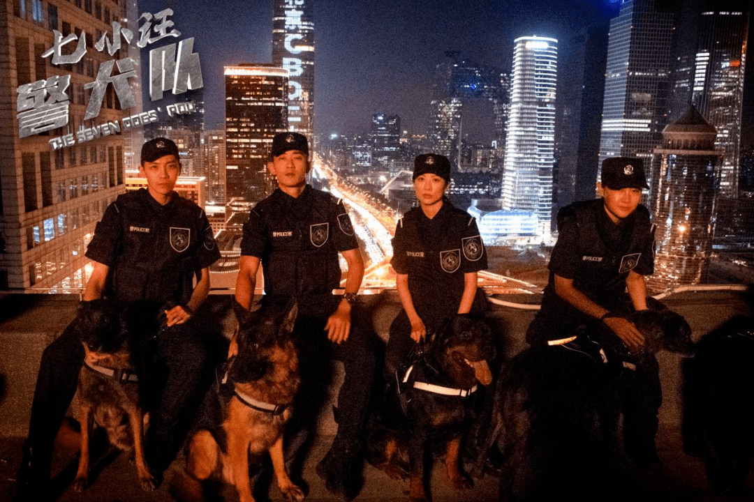 警犬电影黑狼图片