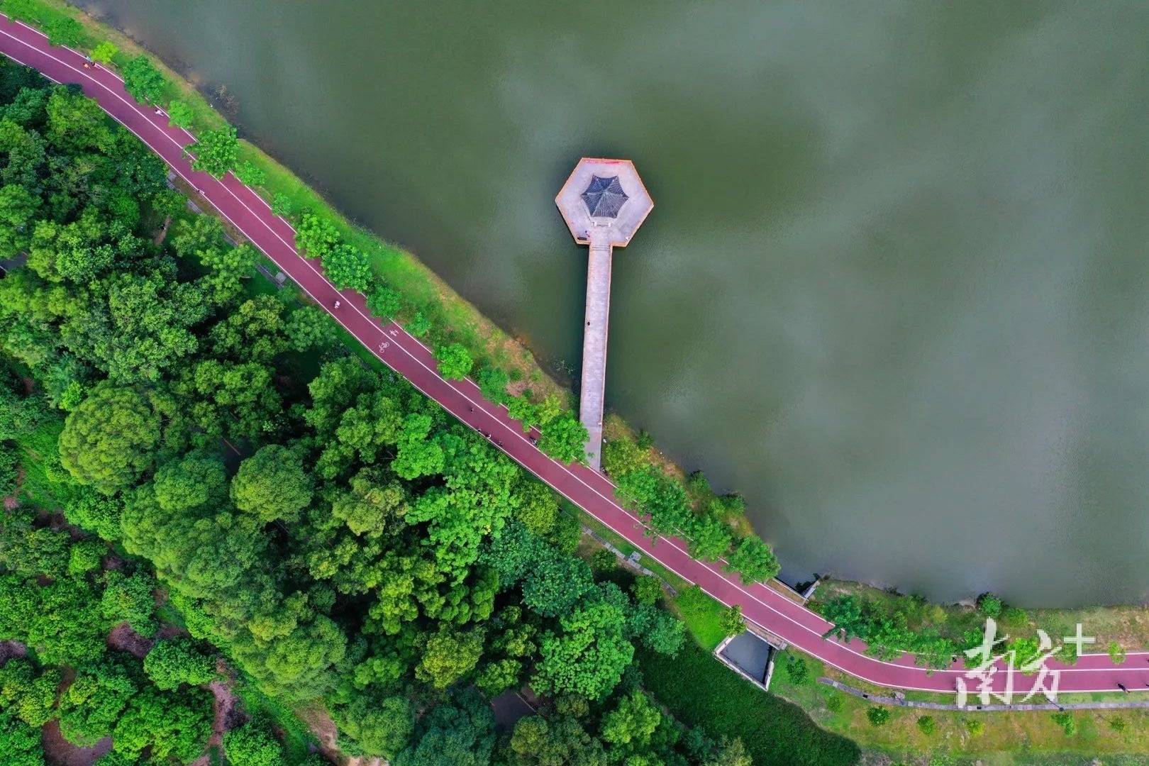 打卡互动丨早春出发,选出您最喜欢的厚街醉美碧道_新涌_史涌_河道