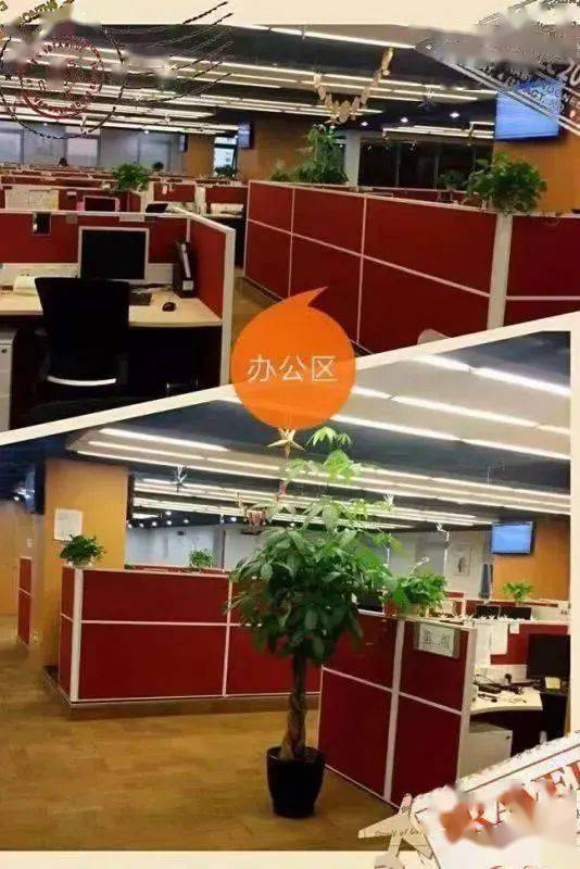 国泰君安证券上海客服中心招聘!综薪7-9k,晋升空间大!应届可报!