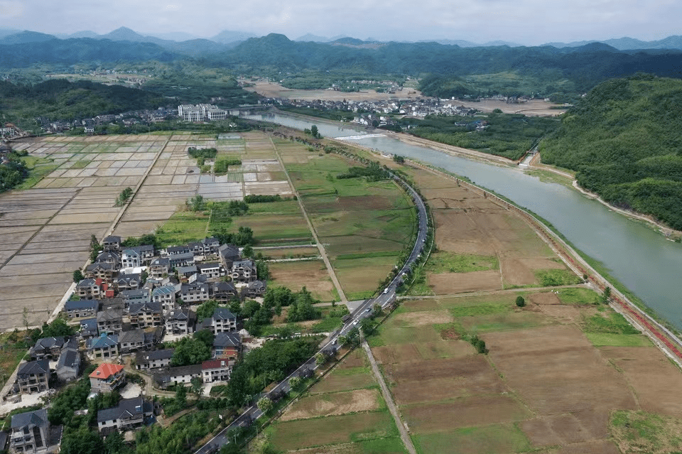 临安区获第四届"河姆渡杯"粮食生产先进市,县(市,区)铜奖!