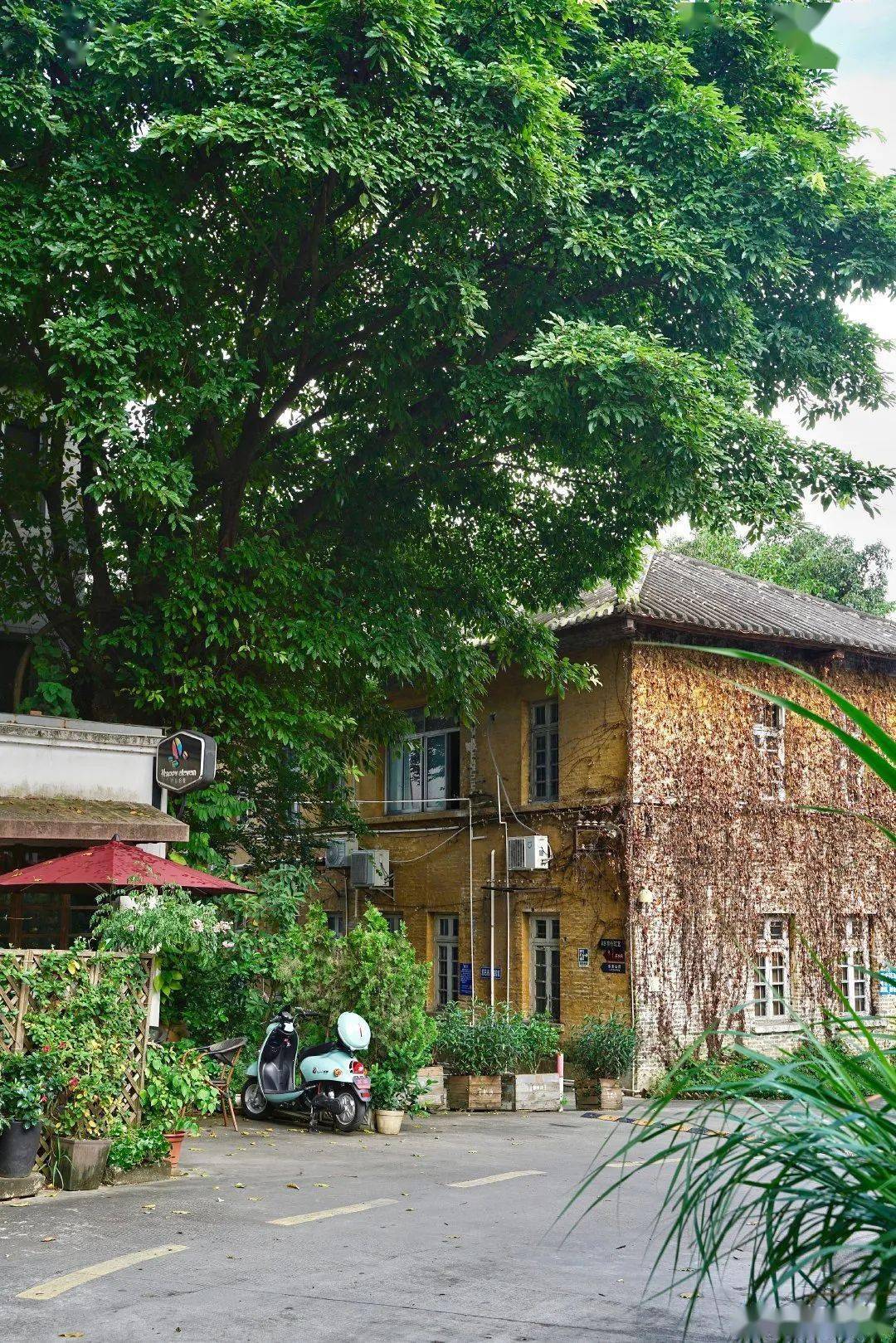广州69岁紫泥堂,"甜味硬汉"老糖厂变身创意园_工业_同学_牛奶