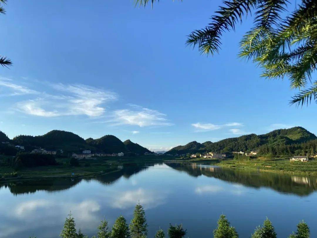 叙永仙草湖图片
