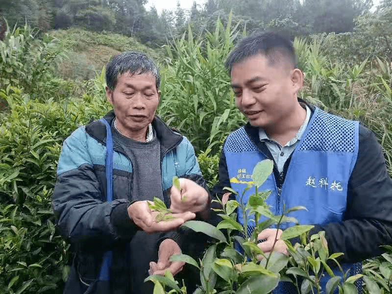 奔走相告（非遗活动资金申请）非遗项目资金申报表 第2张