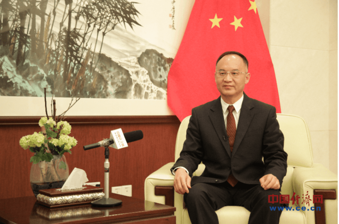 外交部新任部长助理,工作经历很特别_农融_中巴_合作伙伴关系