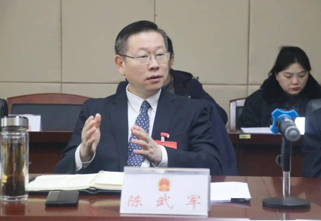 陈武军参加人大代表团分组审议_发展_德兴_街道