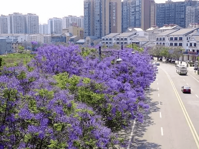 四川那座隐匿千年的古城，偏安一隅，却比你想象中更美100倍