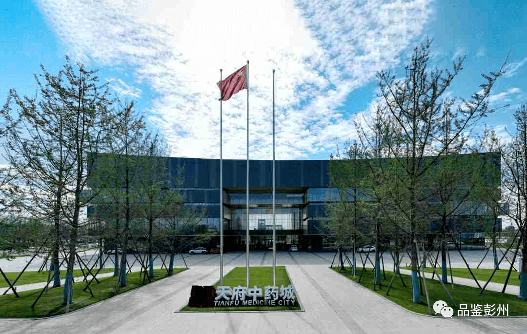 人勤春来早 奋进正当时 | 天府中药城铆足干劲全力冲刺"开门红"_建设