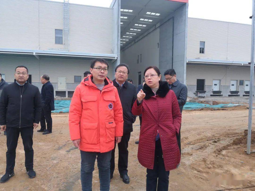 县长黄静深入重点项目一线现场办公_镇平县_发展_建设