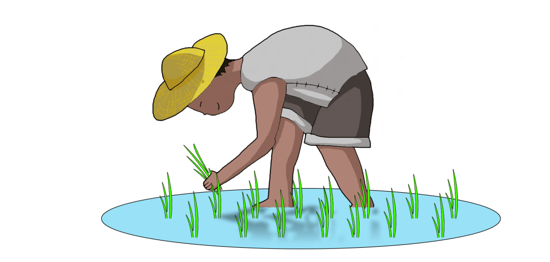 高考倒计时 | 这一站,走进中国农业大学_农学_专业_院校