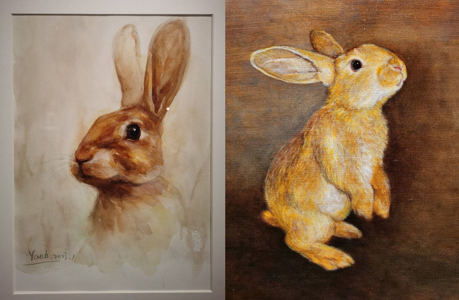 为什么暖萌的兔子可以跻身十二生肖，成为动画片里中国的象征？_搜狐网