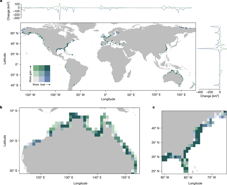122 marsh salt carbon 122-marsh-salt-carbon