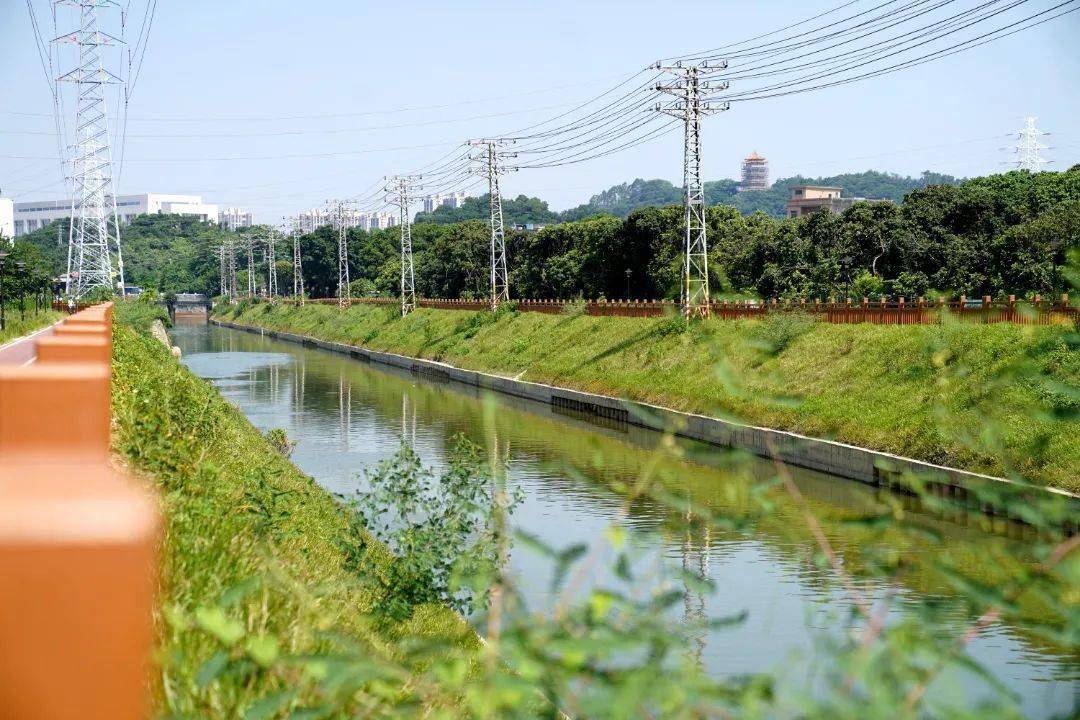 乡村振兴项目巡礼| 主干道提档升级,一河两岸谱新韵_社区_环境_人居