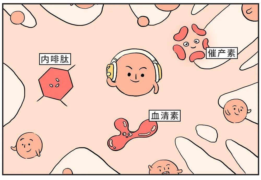 也开始在体内不断释放另外两种「快乐荷尔蒙」——内啡肽和血清素随着