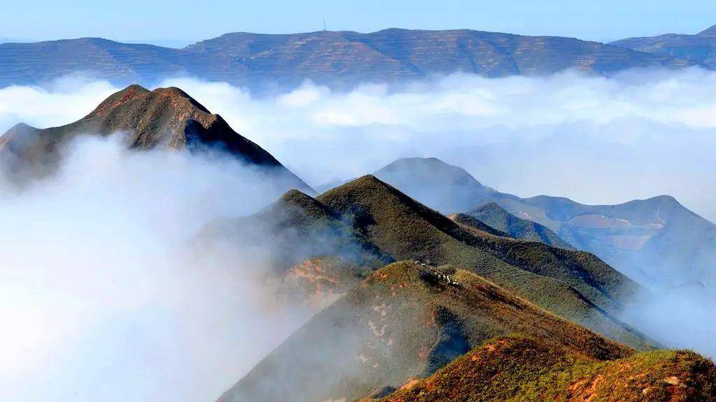 天水武山，“十有”美名扬～