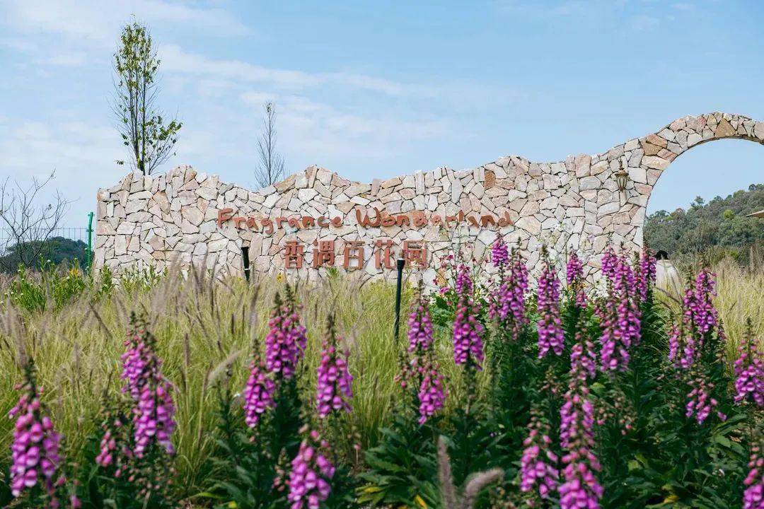 东莞这些景点随手都能拍出美照!_广东省_铃木_大片