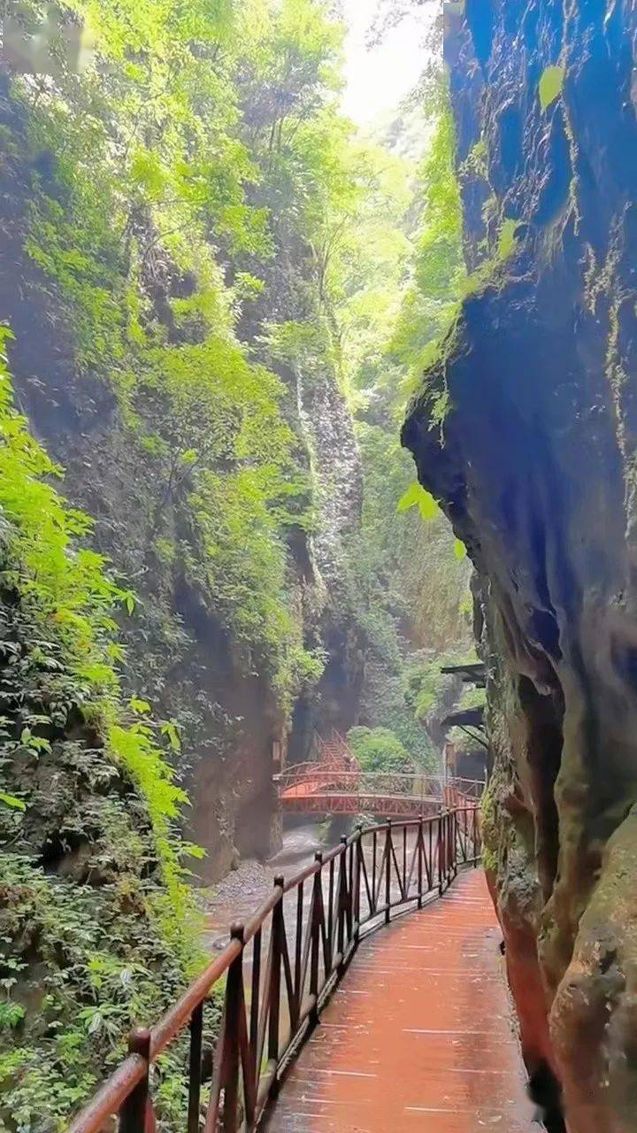 会泽大地缝风景区电话图片