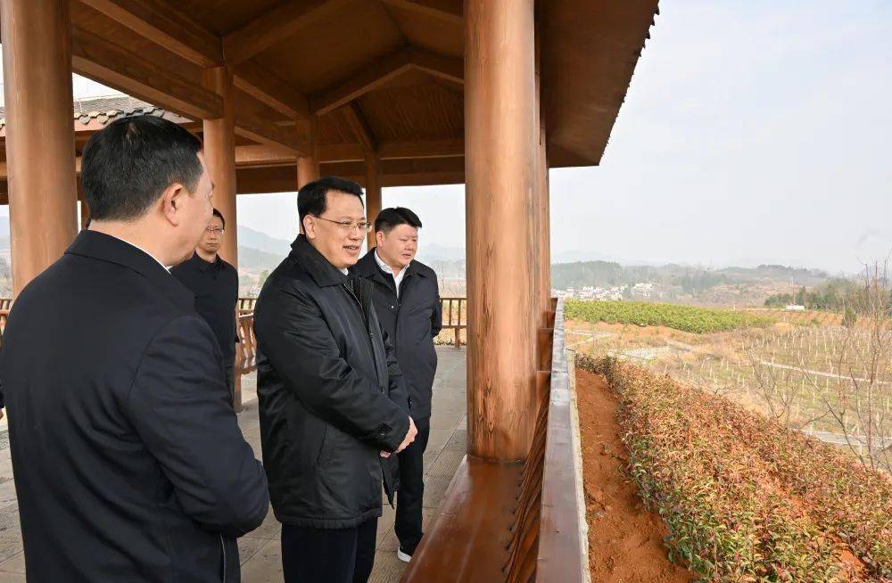 市委书记袁家军前往黔江区,酉阳县,秀山县调研,深入乡镇村社,企业