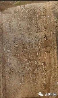 陕西发现一墓葬殉葬43人：系目前发现西周时期殉人最多墓葬_遗址_泾河_新闻