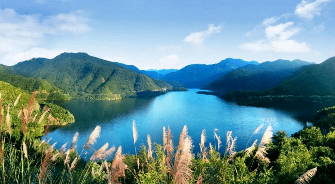 接下来的杭州堪称国内旅游浪漫天花板，景区免费游，错过不再有！