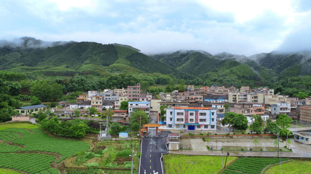 高质量发展看佛冈 | 高岗镇:抢抓"工农旅"发展机遇 坚定不移走"绿美