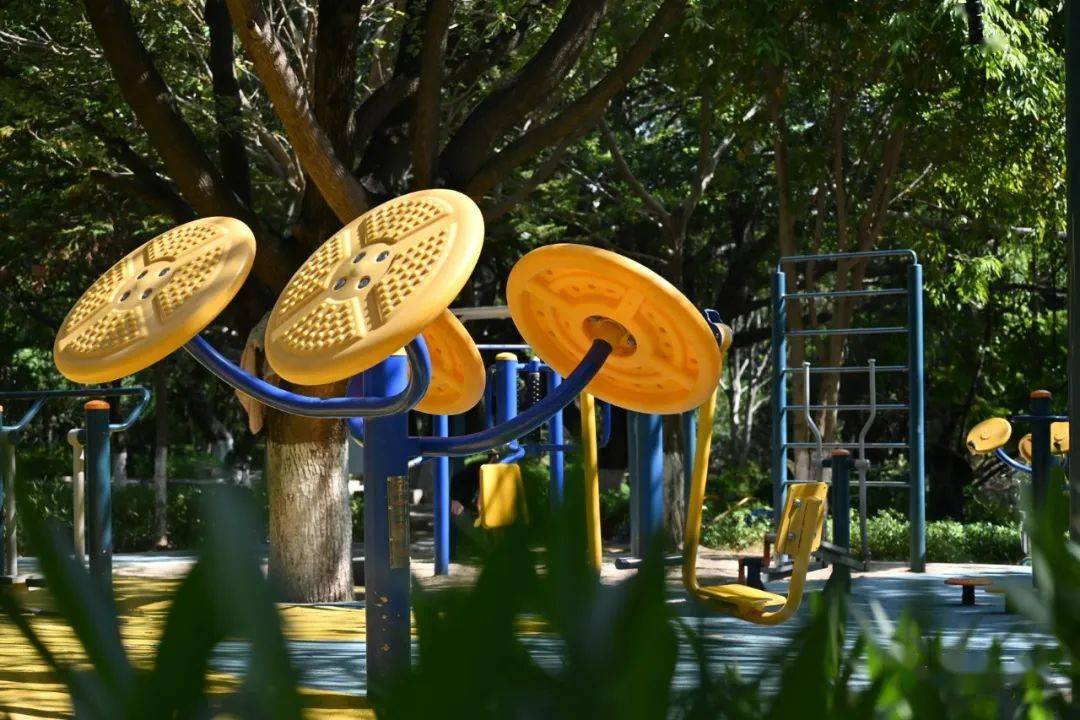 敏月公园随拍_于又_寻找_收获