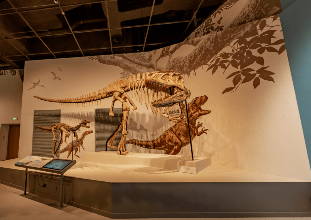 成都自然博物馆常设展厅——《恐龙揭秘厅》《龙行川渝厅》实景分享
