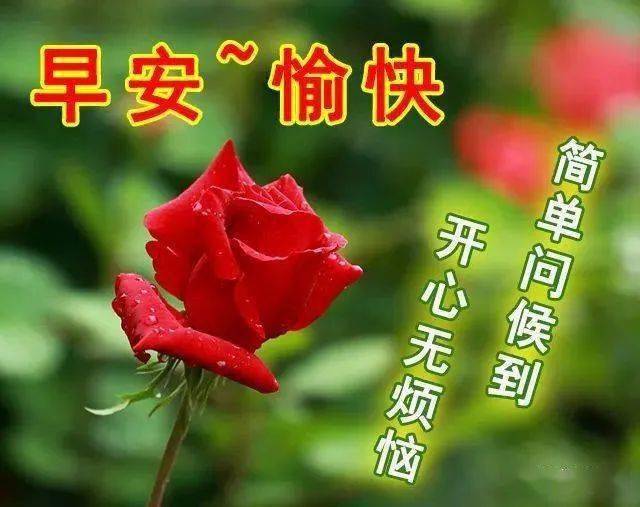 2月18日最新早上好動態表情圖片大全,早晨好動圖美圖大全!